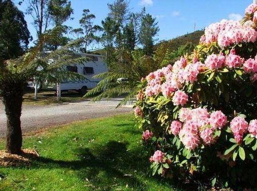 Zeehan Bush Camp Ngoại thất bức ảnh